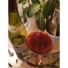 Tasting Bourgogne 1993 - Coquard Loison Fleurot