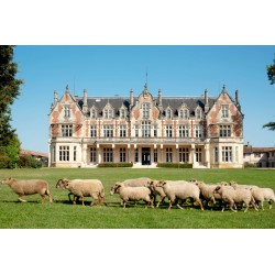 Acheter un Margaux de 2014 - Chateau Brown-Cantenac