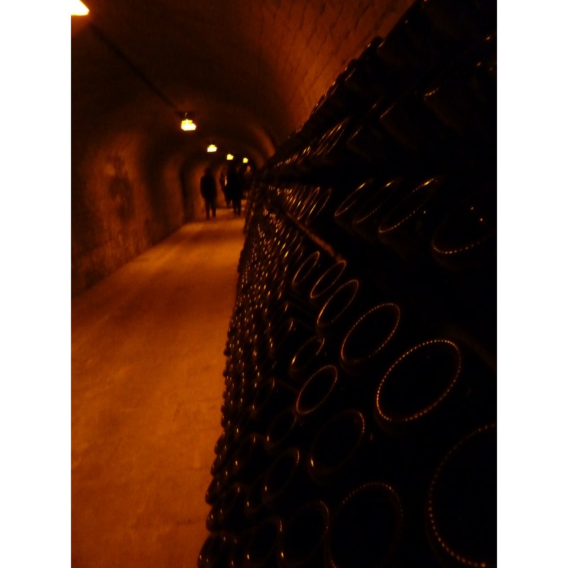 Moët & Chandon Grand Vintage Collection 1996 Champagne - Divine Cellar