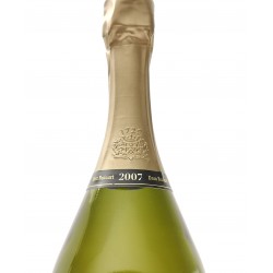 Best 2007 Champagne to offer ?
