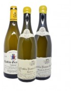 Grands Crus Blancs de Bourgogne au meilleur prix et livré chez vous !