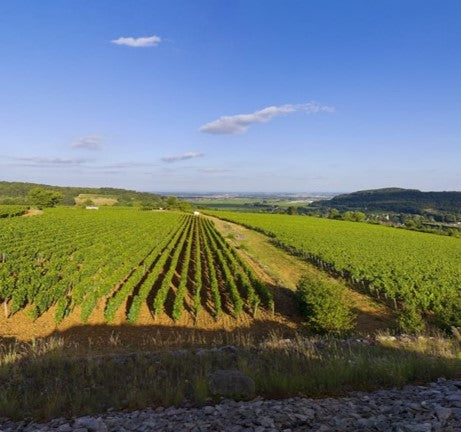 Savigny-lès-Beaune