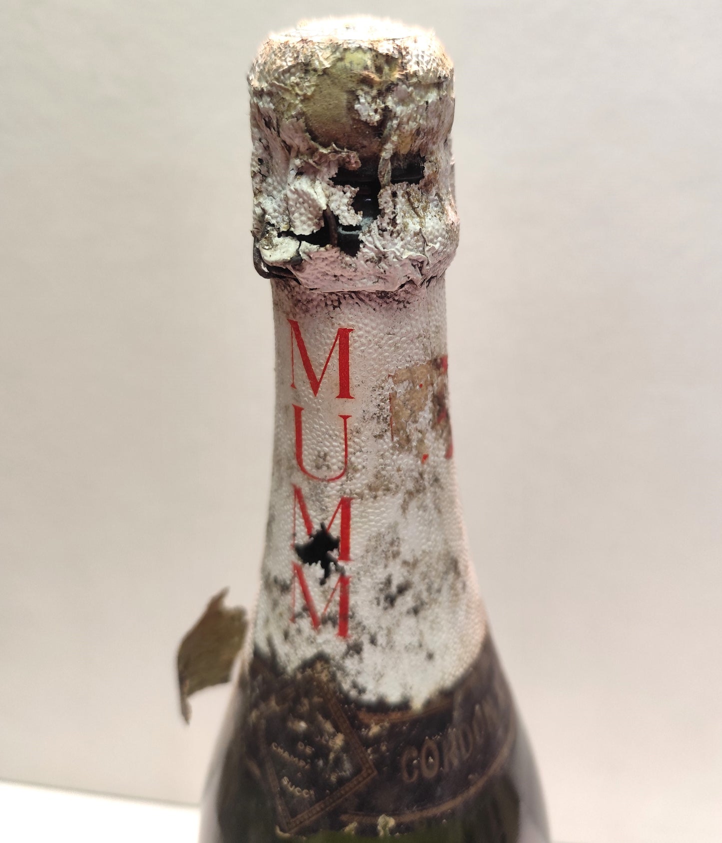 Mumm Brut Millesime 1976 - Champagne Cordon Rouge