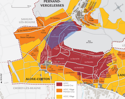 Corton-Charlemagne 1994 - Maratray-Dubreuil